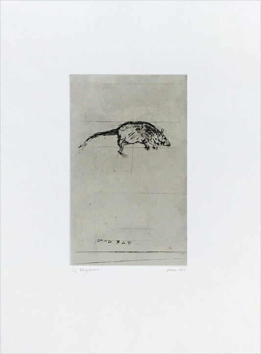 Sadko Hadzihasanovic - Rat