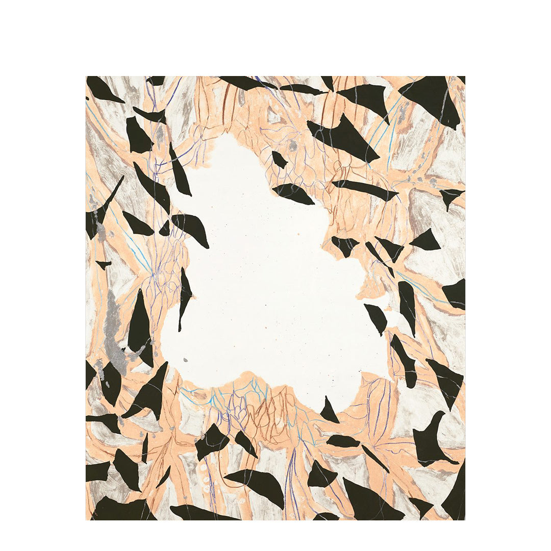 Rachel Crummey - A Spider's Diary (1)