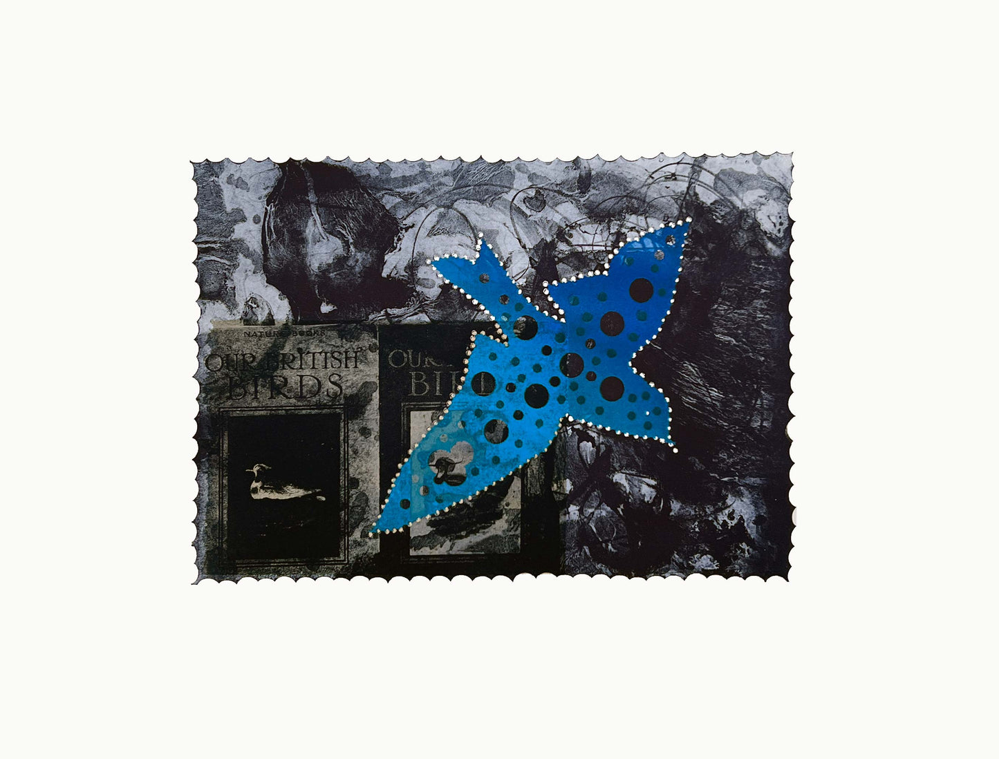 Otis Tamasauskas - Our British Birds, Blue Bird