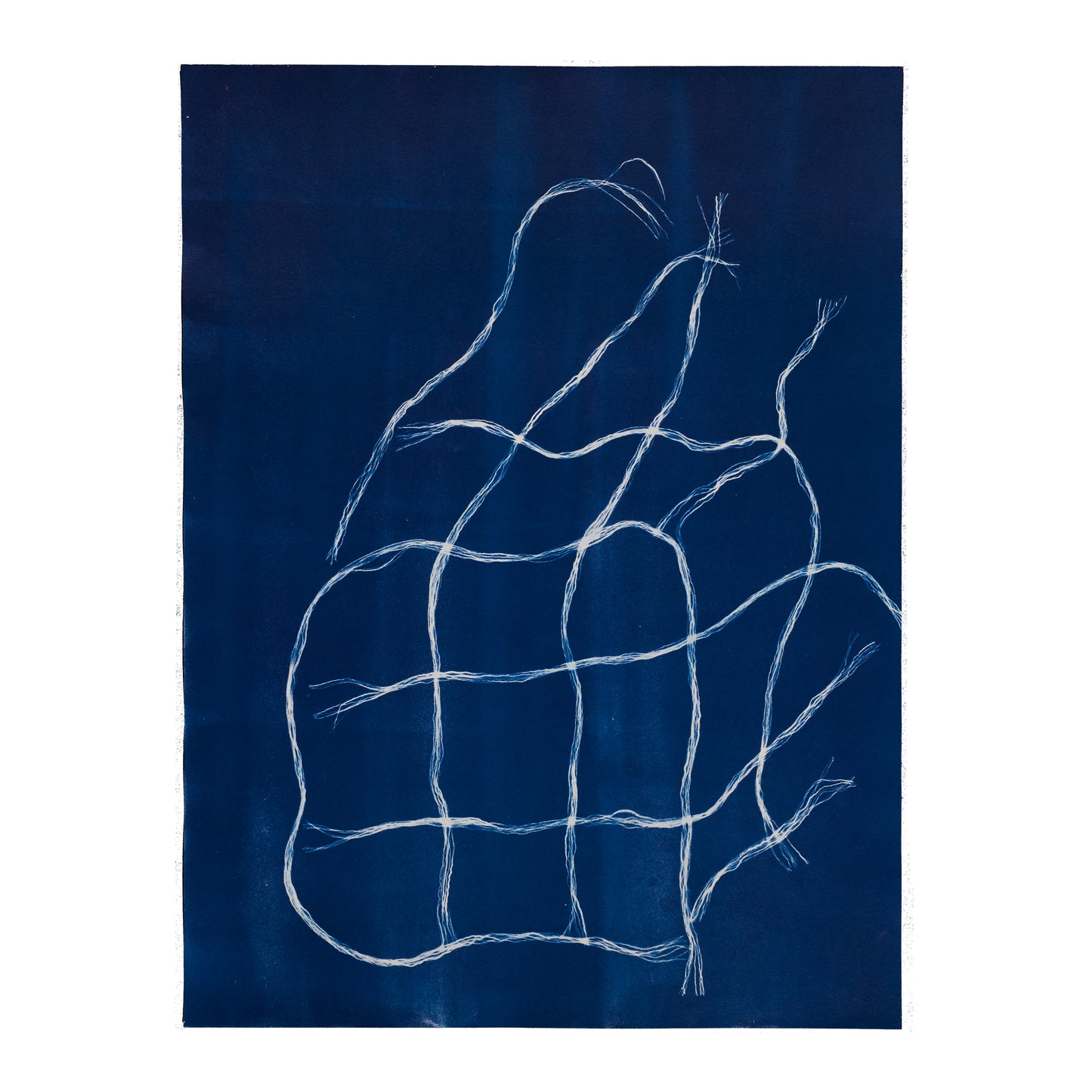 FUTURE PROOF 2023 Lot 82: Gabrielle Tyrie - Fibre structure study
