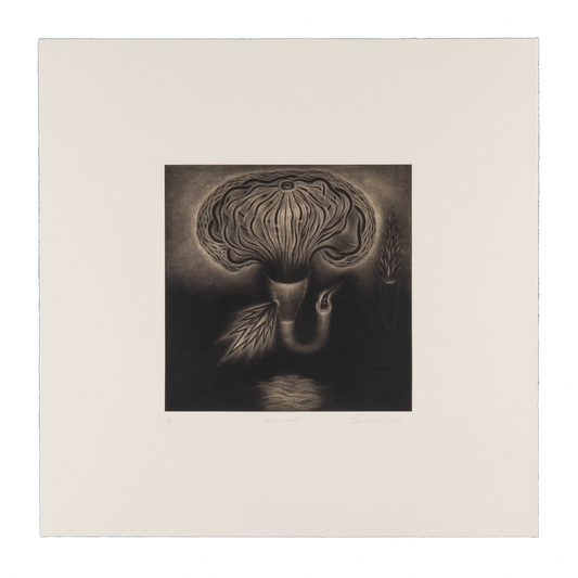 Sean Caulfield, Rain Cloud