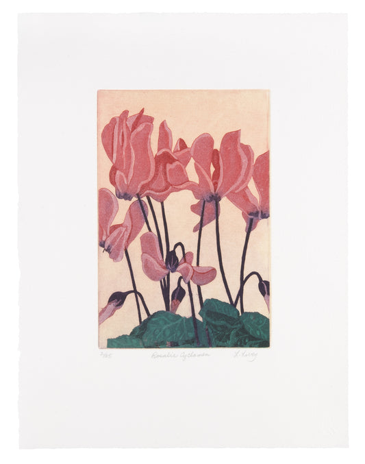 Lorna Livey, Rosalie Cyclamen, etching