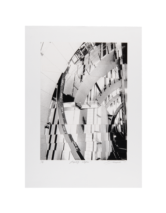 Shinsuke Minegishi, fragility-edifice