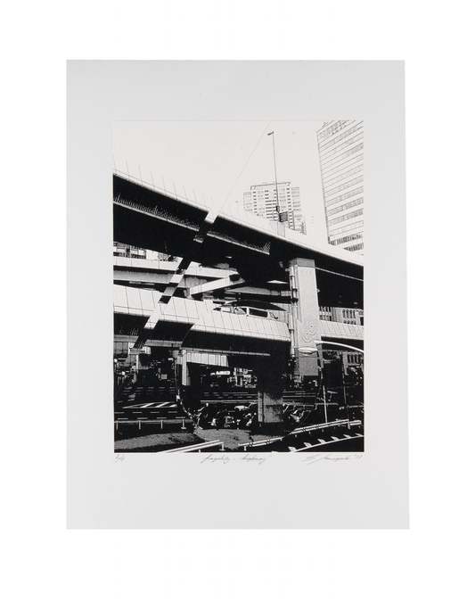 Shinsuke Minegishi, fragility-highway