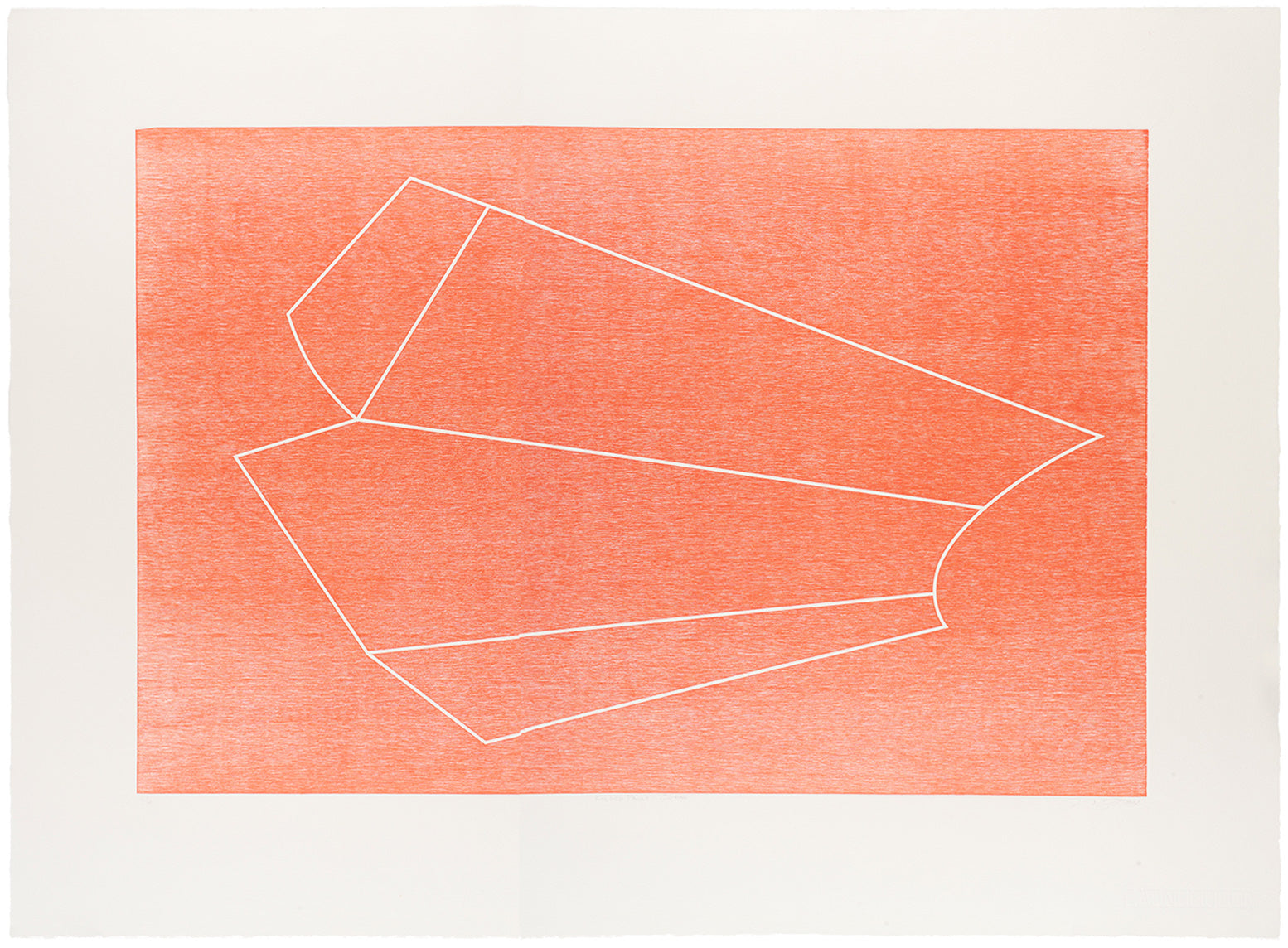 Nancy Fox, Folded Facet Coral