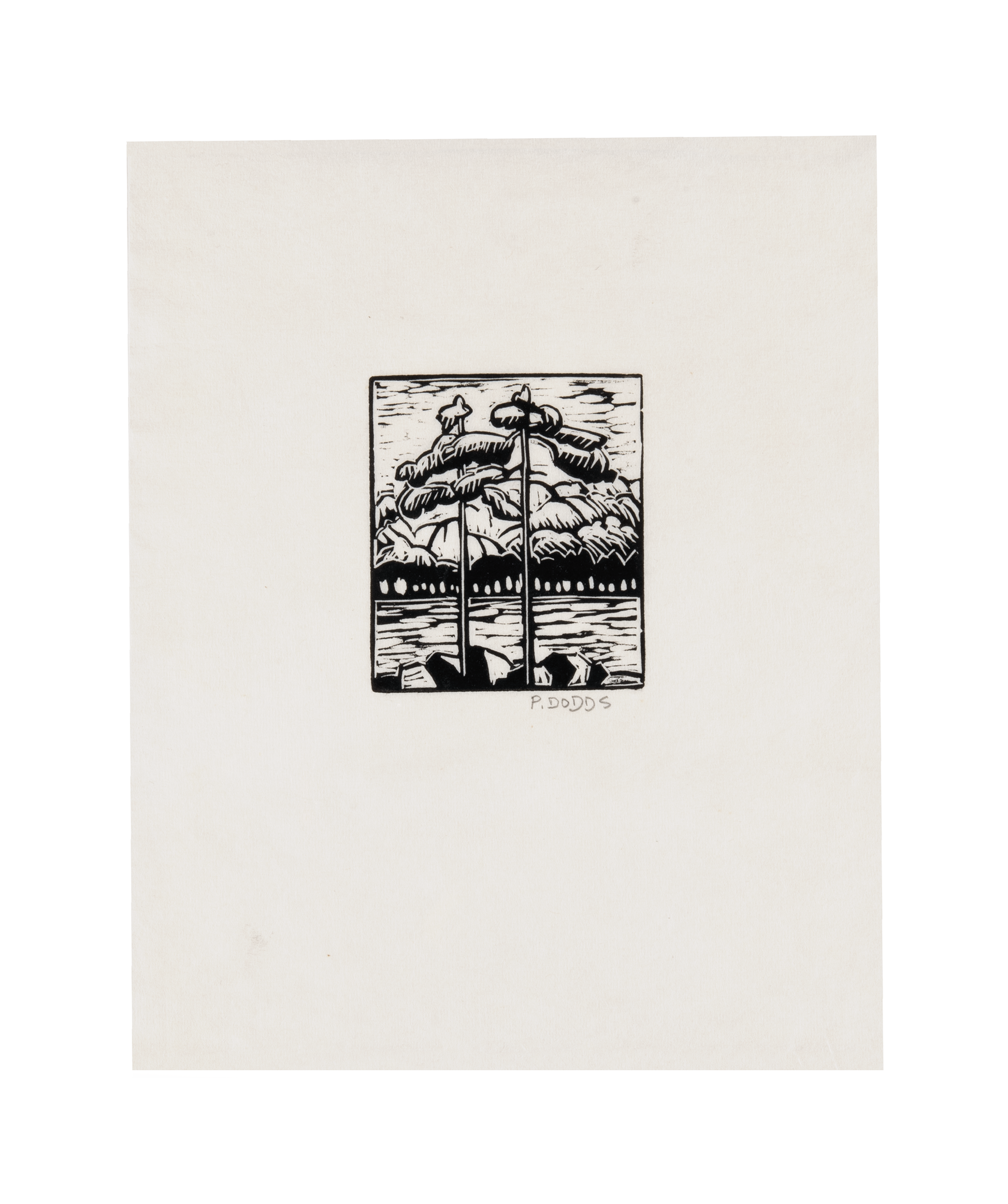 Pamela Dodds, Untitled (Two trees)