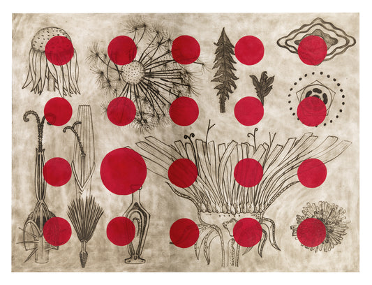 Liz Parkinson - Taraxacum Officinale A Morphology Red Interrupted, drypoint, acrylic and flocking