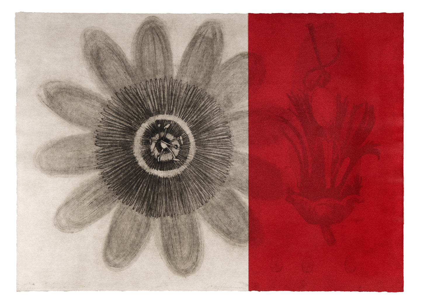 Liz Parkinson, Passion, drypoint, screenprint and flocking