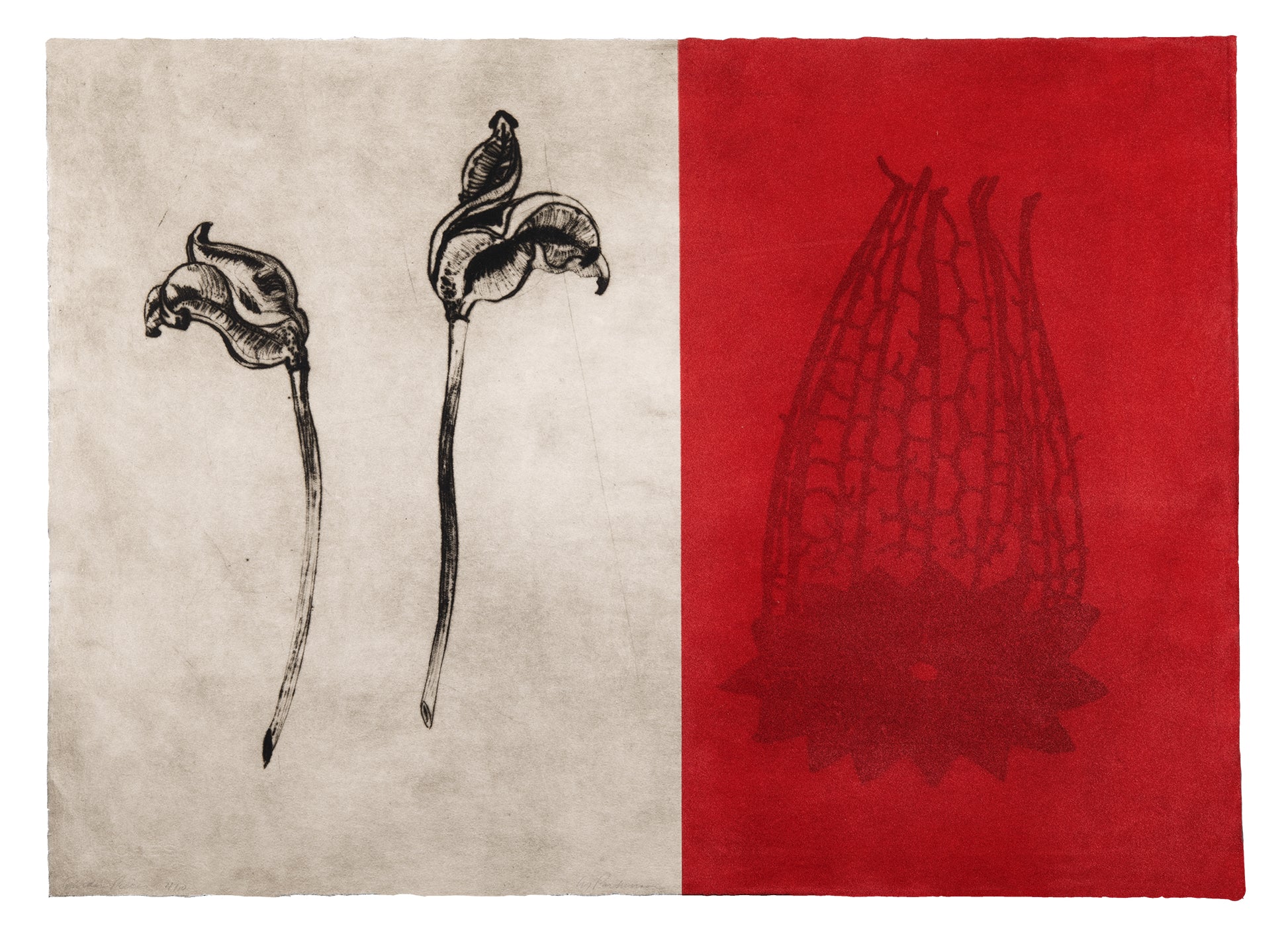 Liz Parkinson, Garden Piece, drypoint, screenprint and flocking