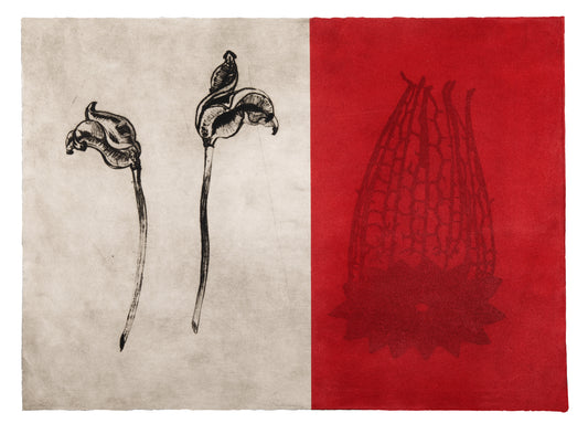 Liz Parkinson, Garden Piece, drypoint, screenprint and flocking