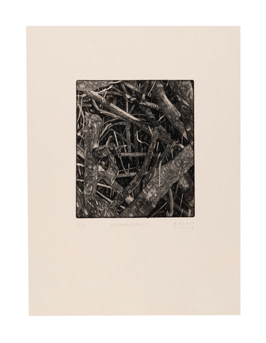 Andrew McKay, Entanglement, 2018, mezzotint, 4/5, 15" x 11".