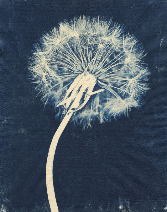 Sally Ayre - Laughter in the Breeze #23