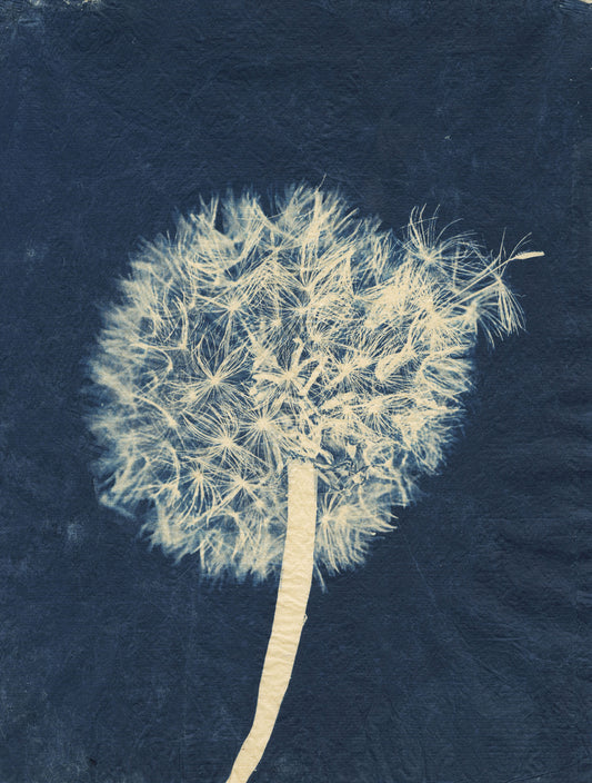 Sally Ayre - Laughter in the Breeze #16