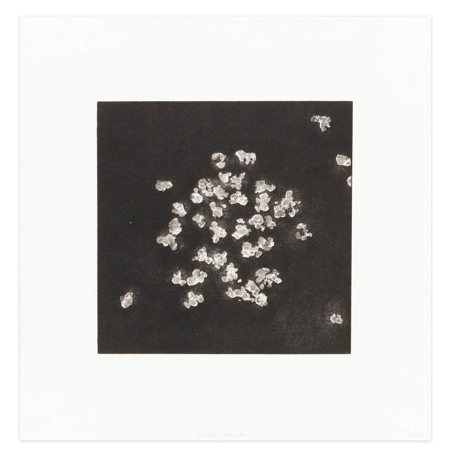 Barbara Balfour, Shrödinger’s Popcorn, etching, softground intaglio, Edition 3/10, paper size: 20.25" x 20"