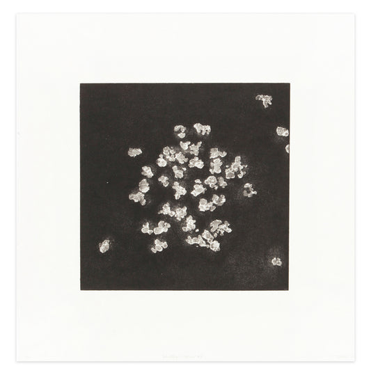 Barbara Balfour, Shrödinger’s Popcorn, etching, softground intaglio, Edition 3/10, paper size: 20.25" x 20"