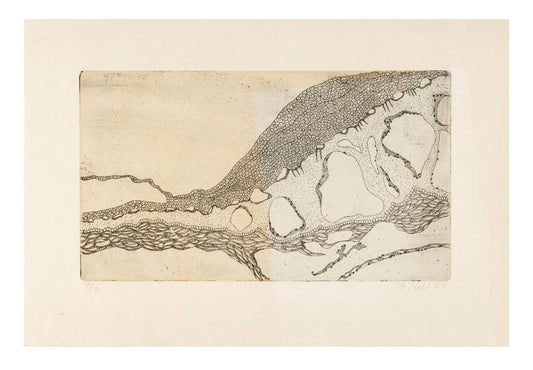 Barbara Hall, Untitled, intaglio, etching, edition: 9/12, paper size: 8" x 11.75" (this artwork has some yellowing)