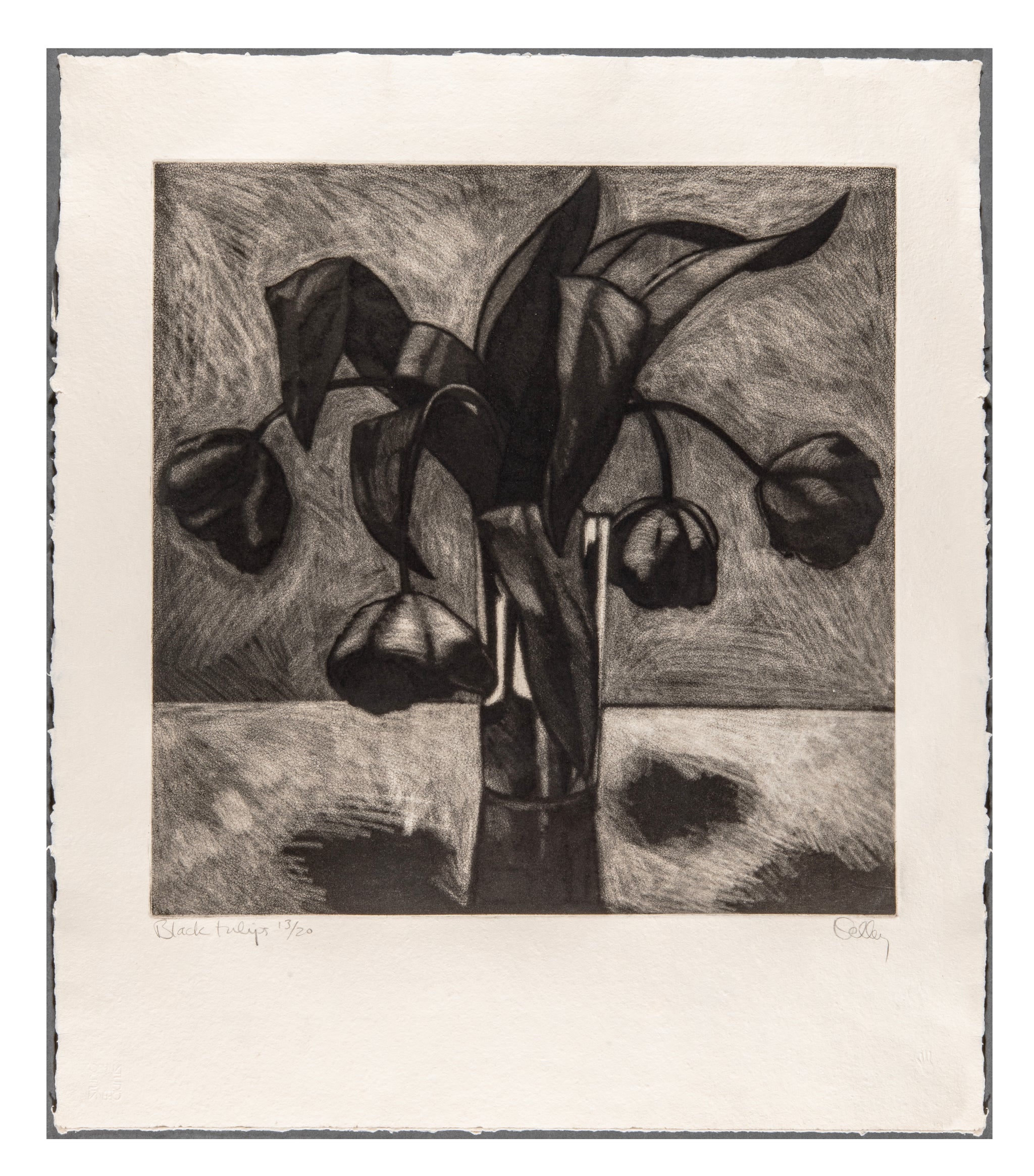 Brian Kelley, Black Tulips, mezzotint, edition of 20, paper size: 25.25