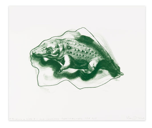 Britta Benno, Of Becoming a Shape of a Land: Crocoland (Green), 2021, photo lithograph on kozuke, edition: A/P (Artist Proof) 4/8, paper size: 12.5" x 15".