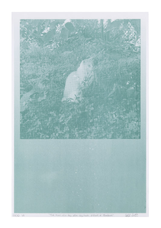 Colin Miner - The Man, who day after day, took Pictures of Shadows