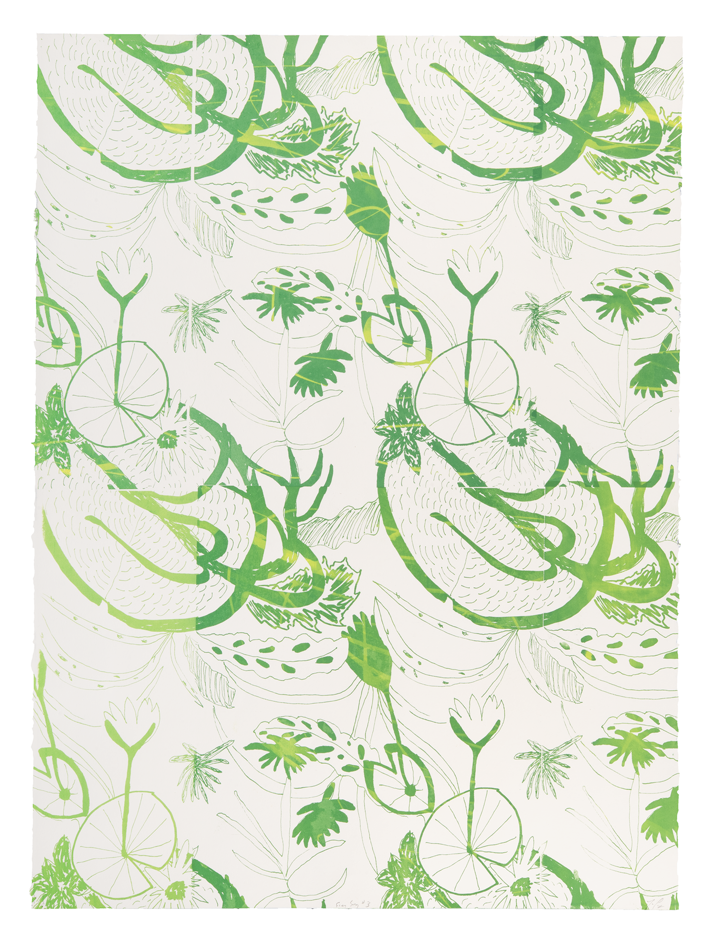 Tara Cooper, Frog Song #3, 2019, relief monotype, edition: 1/1, paper size: 29.5" x 22"