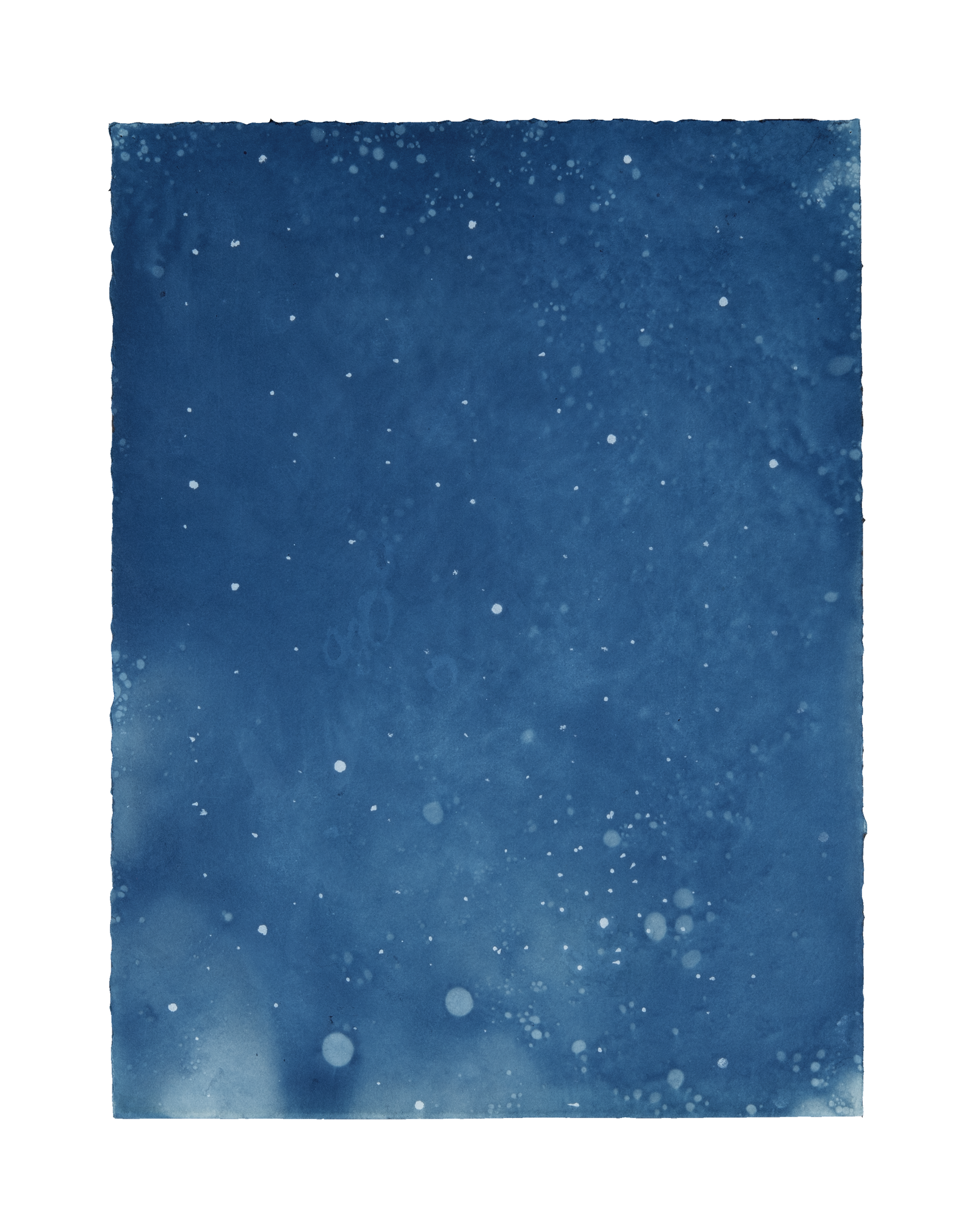 Tara Cooper, Stars, 2017, screenprint with indigo dye resist, edition: A/P (Artist Proof), paper size: 15" x 11"