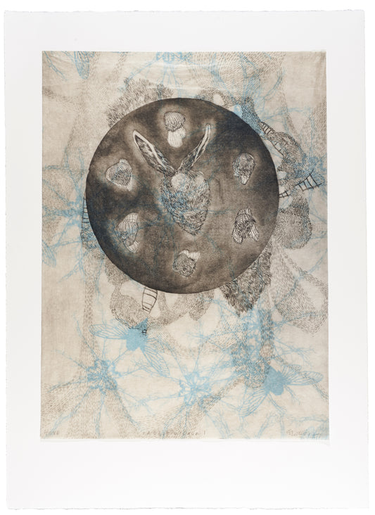 Elizabeth D'Agostino - Rabbit Cocoon