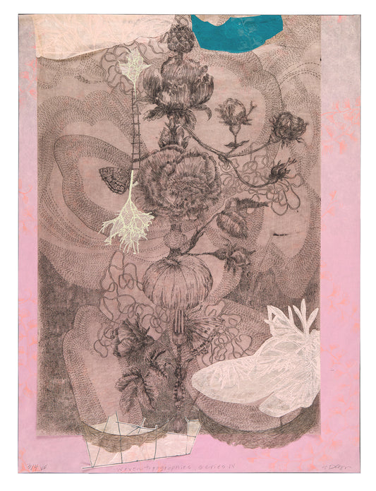 Elizabeth D'Agostino - Woven Topographies, Series IV