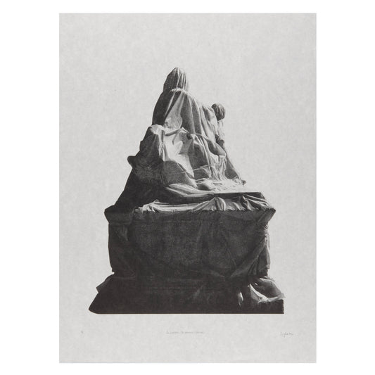  Erika DeFreitas, to bestow / to absorb (back), photo lithograph
