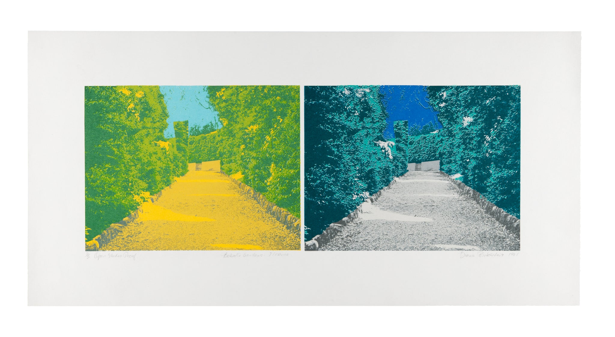 Diana Birkenheier - Boboli Gardens: Florence