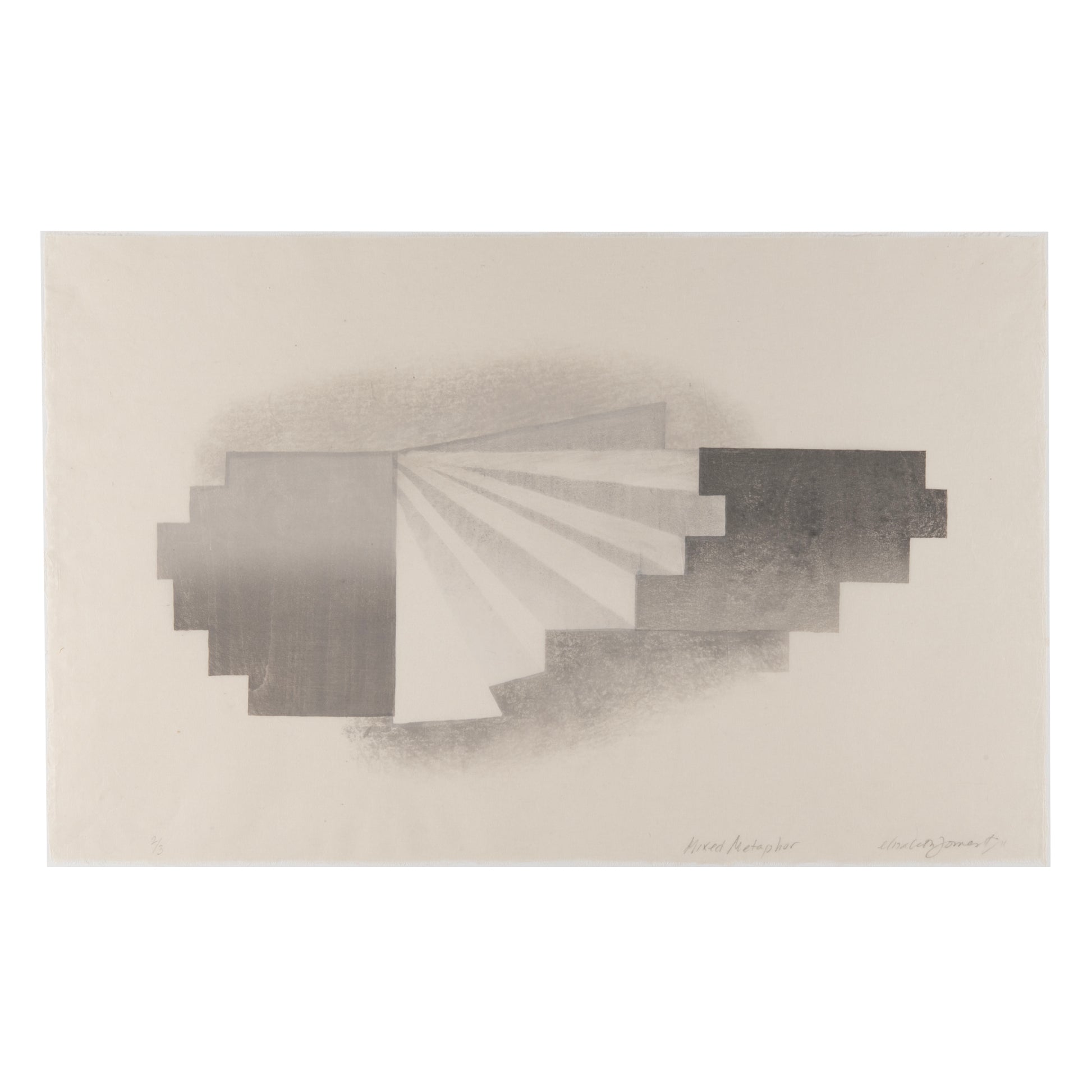 Elizabeth Forrest, Mixed Metaphor, mokuhanga print on uchiyama Washi (Japanese paper), edition: 2/3, paper size: 25" x 16"