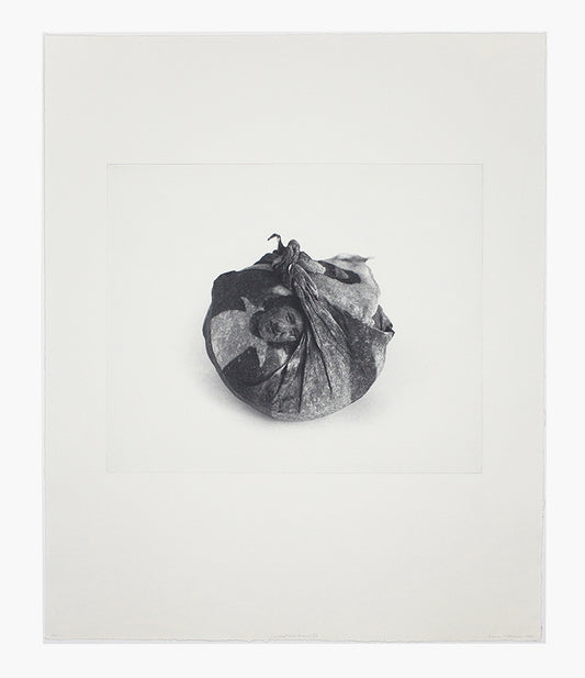 Emma Nishimura, Generational Echoes IV, 2019, photo etching, edition: 7/24, paper size: 28" x 23"