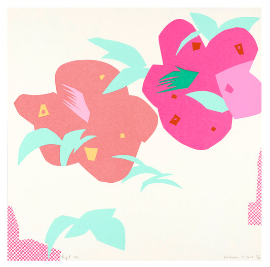 ‘Two Flowers’ by Zenji Funabashi, 1980. Limited edition screenprint of 50, 15.75 x 15.75 inches.