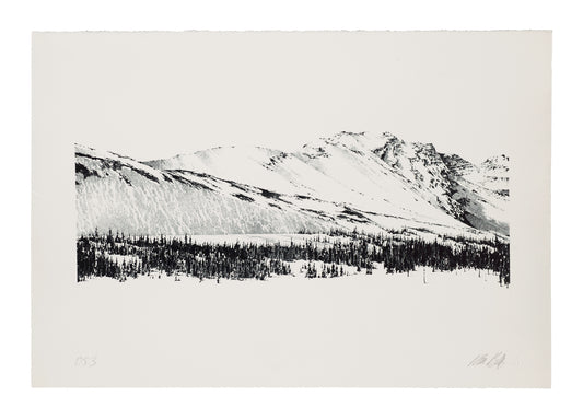 Ron Bolt, Rocky Mountain Suite #4