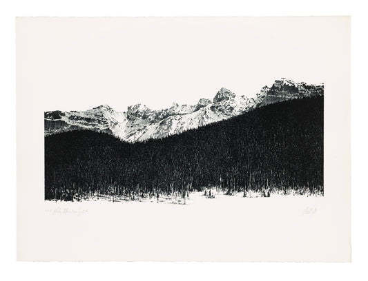Ron Bolt, Rocky Mountain Suite #5
