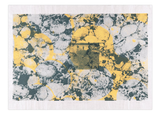 Sandi Ralph, Pacific Ocean Series (Sand Dollars 1), 2009, screenprint, edition: A/P (Artist Proof) 1/1, paper size: 22" x 30"