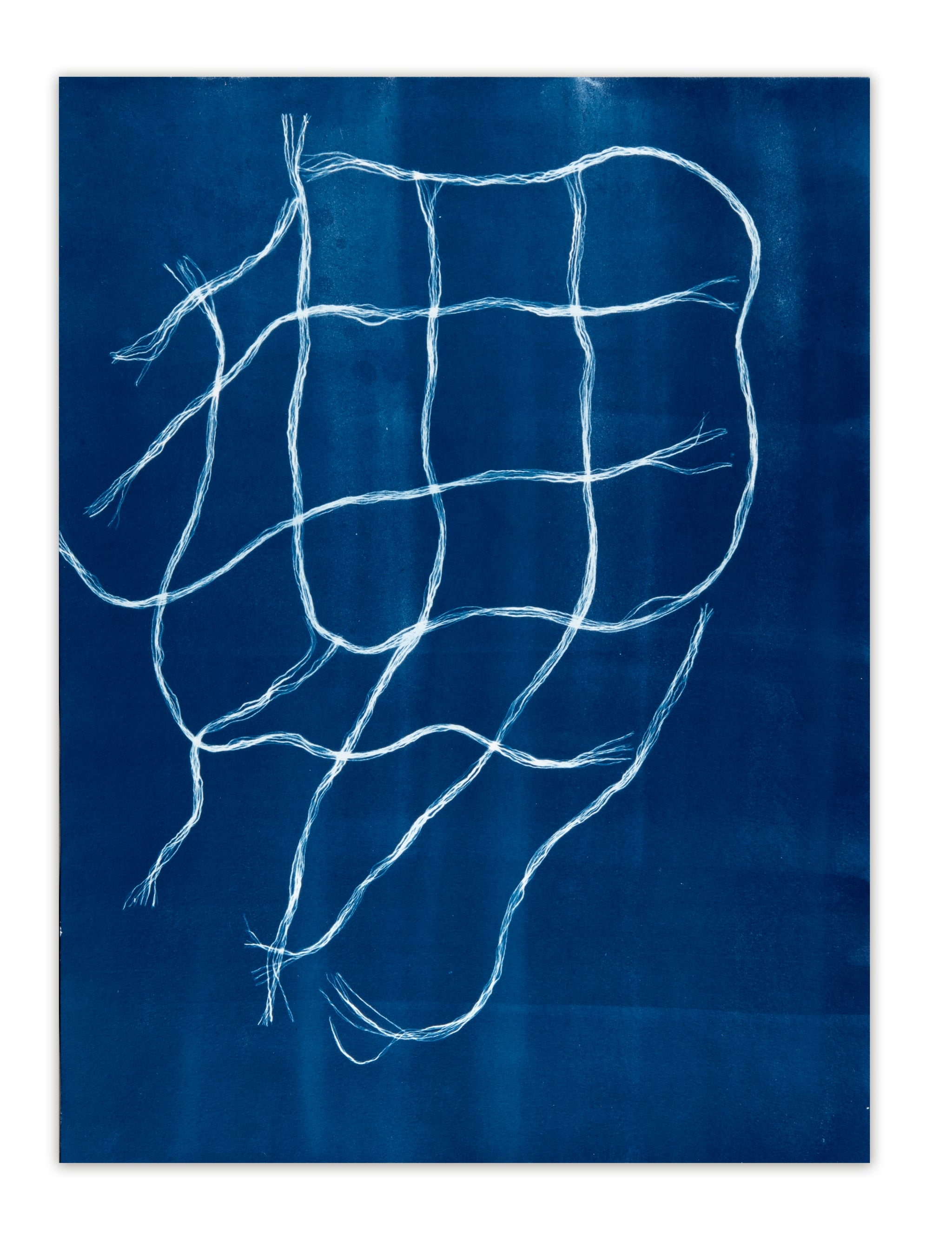Gabrielle Tyrie, Fibre Structure Study, cyanotype on watercolour paper, edition 1/1, size: 24