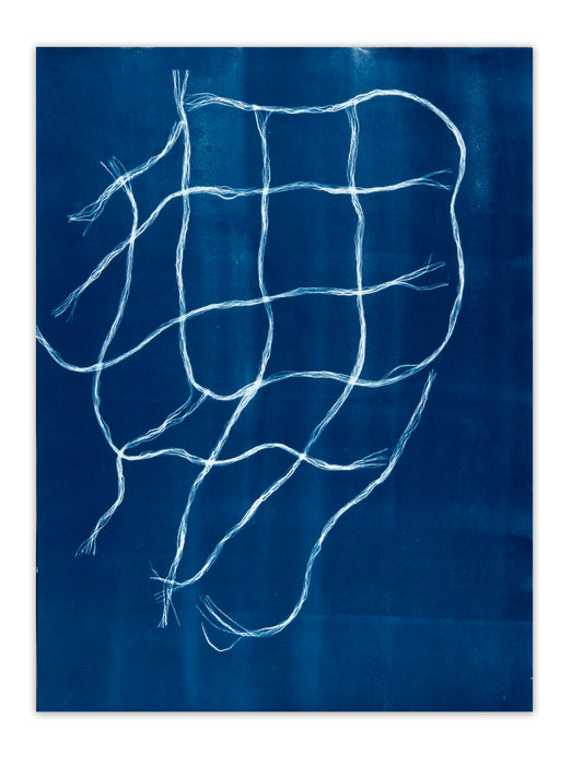 Gabrielle Tyrie, Fibre Structure Study, cyanotype on watercolour paper, edition 1/1, size: 24" x 18"