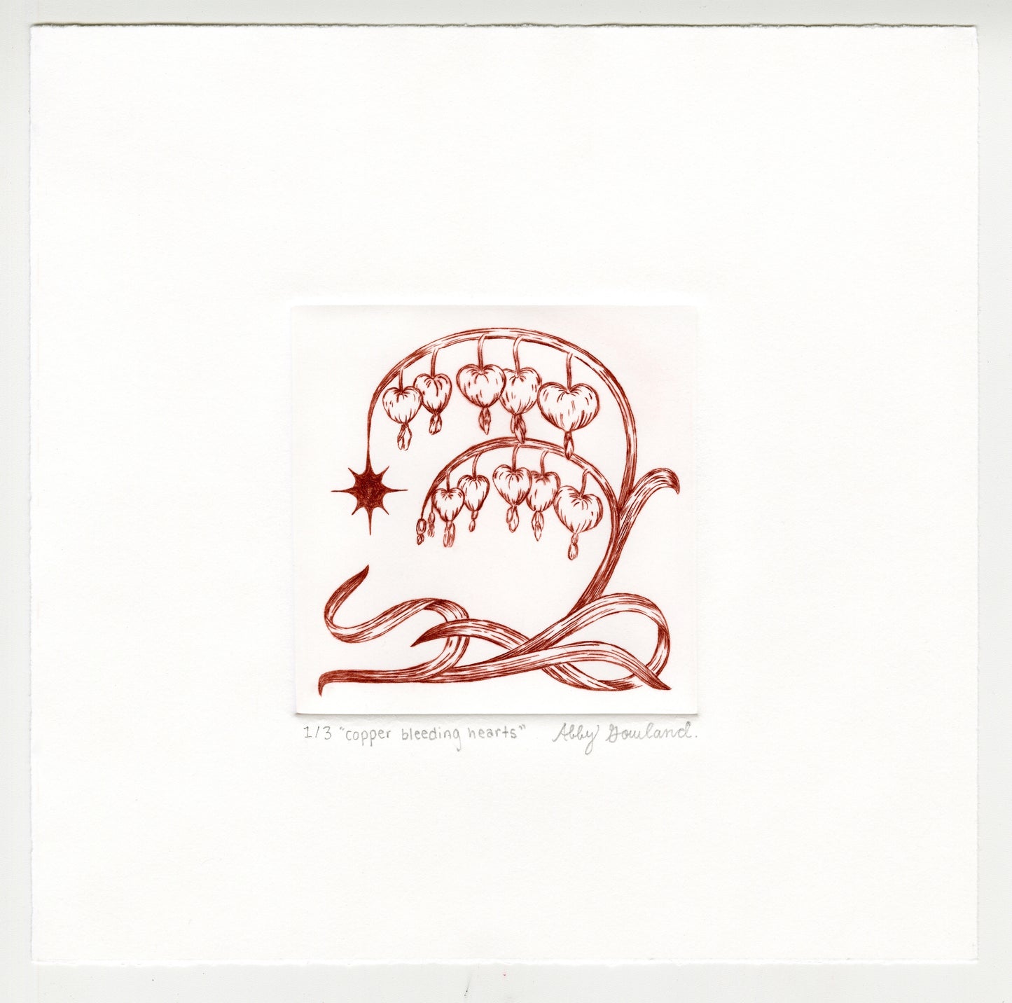 Abby Gowland, copper bleeding hearts, 2025, drypoint, edition of 2/3, paper size: 8” x 8”