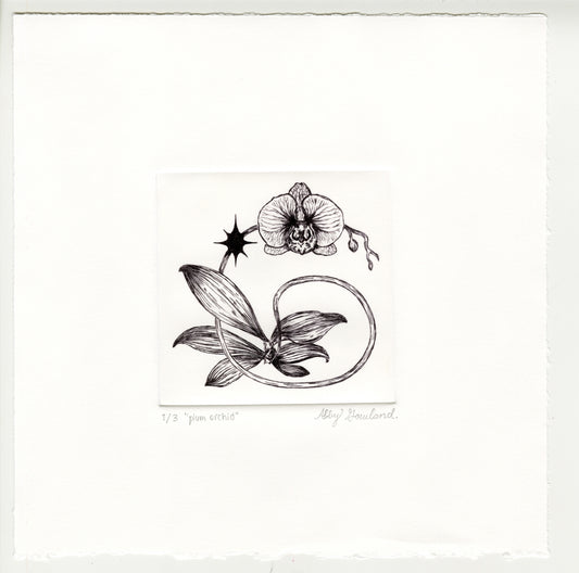Abby Gowland, plum orchid, 2025, drypoint, edition of 2/3, paper size: 8” x 8”