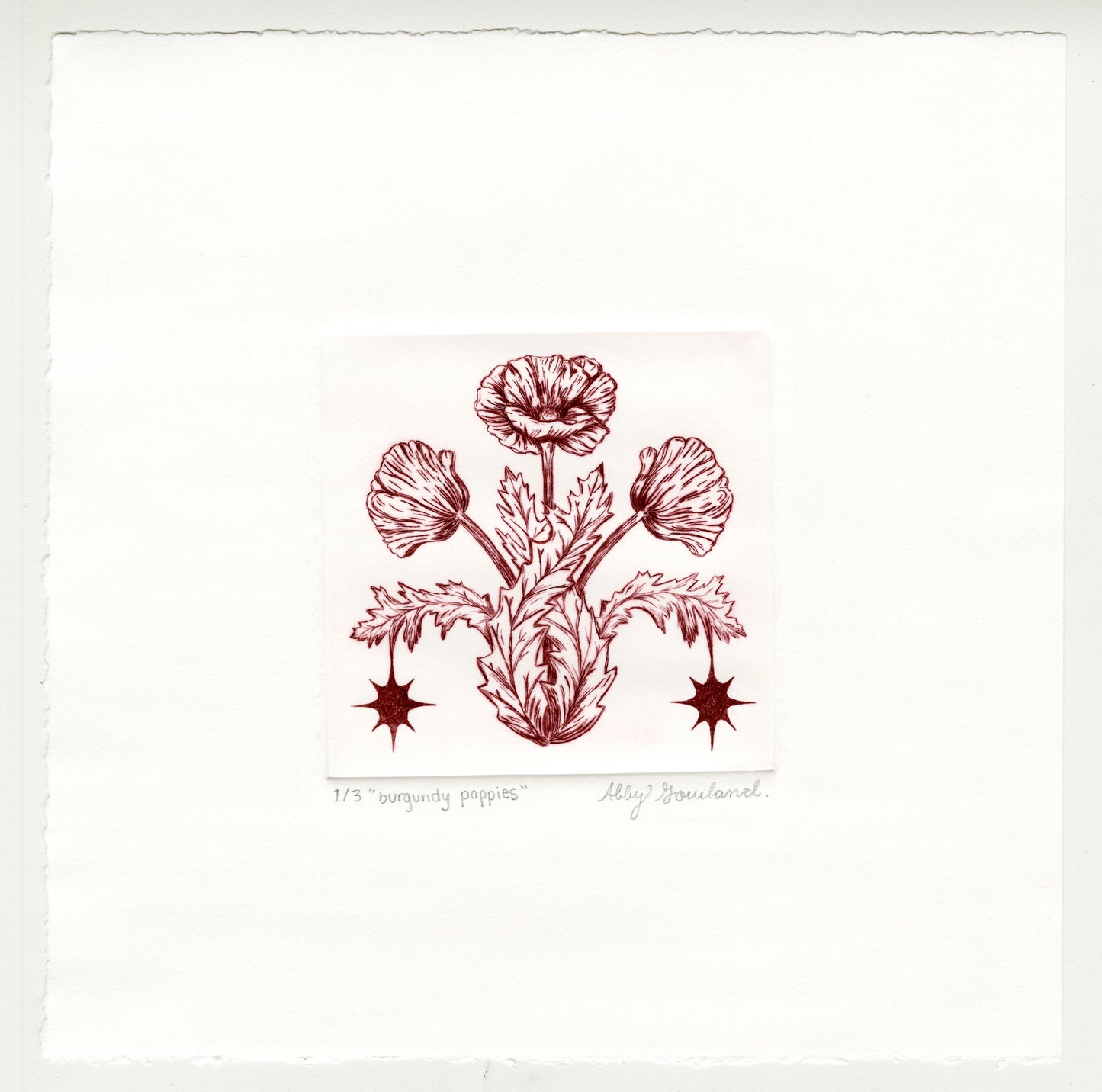 Abby Gowland, burgundy poppies, 2025, drypoint, edition of 3/3, paper size: 8” x 8”