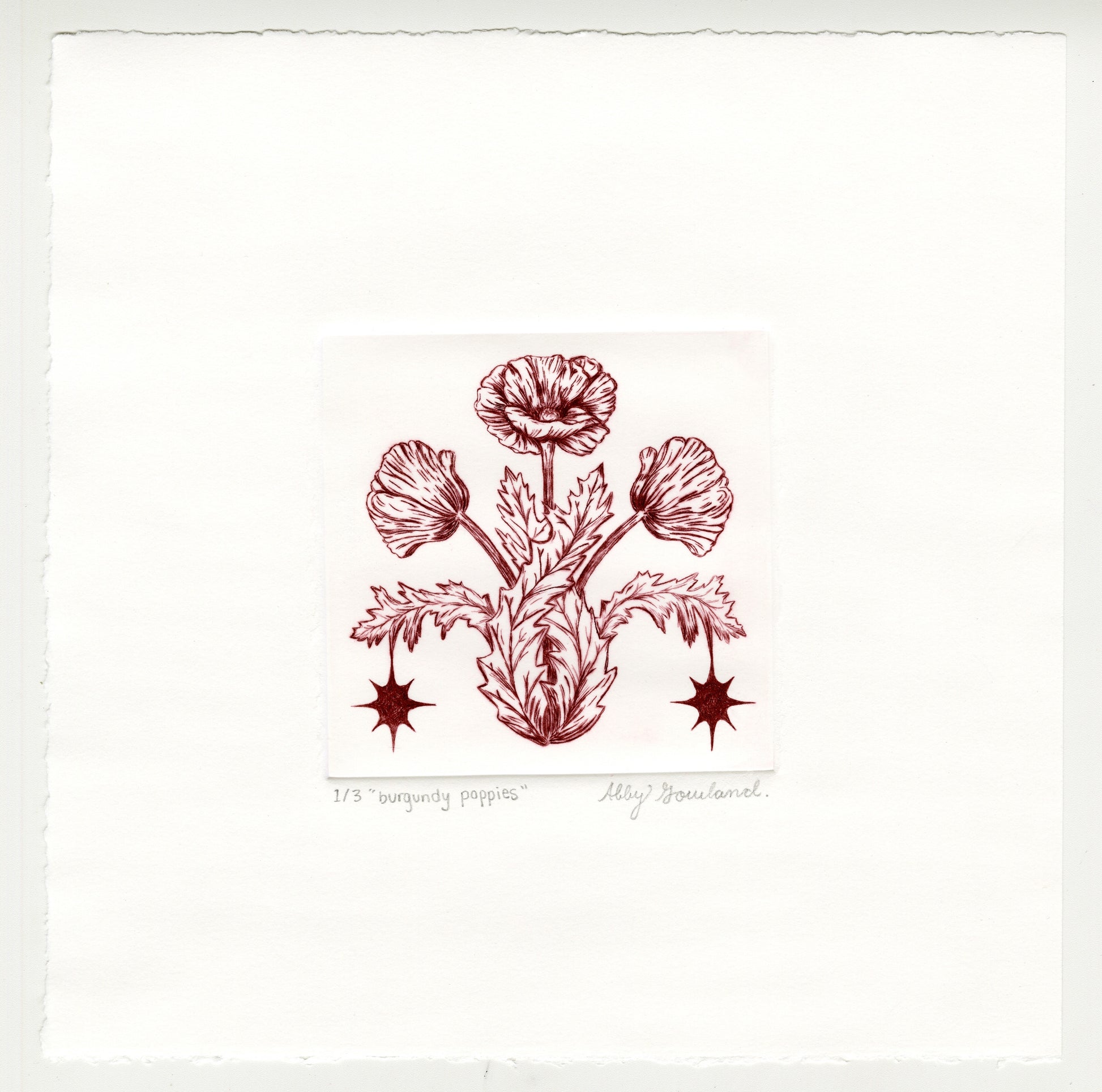Abby Gowland, burgundy poppies, 2025, drypoint, edition of 3/3, paper size: 8” x 8”