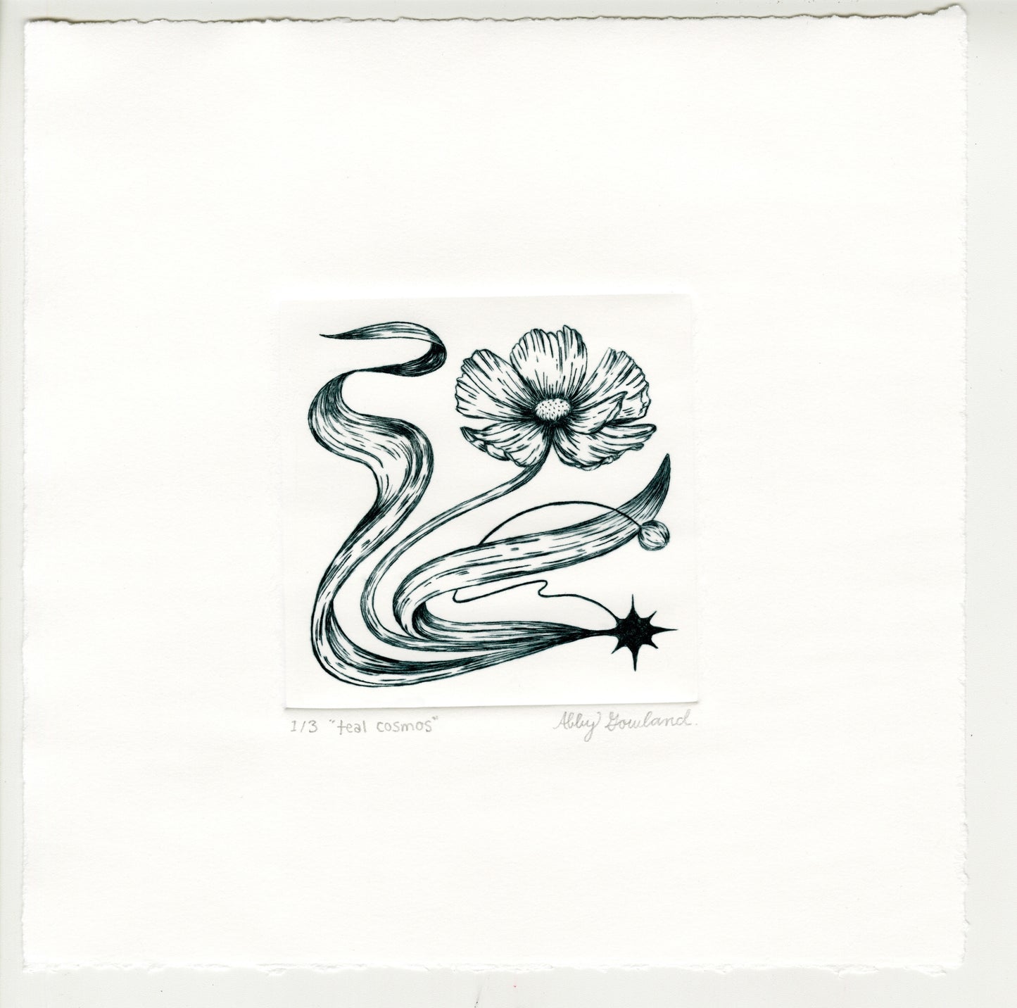 Abby Gowland, teal cosmos, 2025, drypoint, edition of 3/3, paper size: 8” x 8”