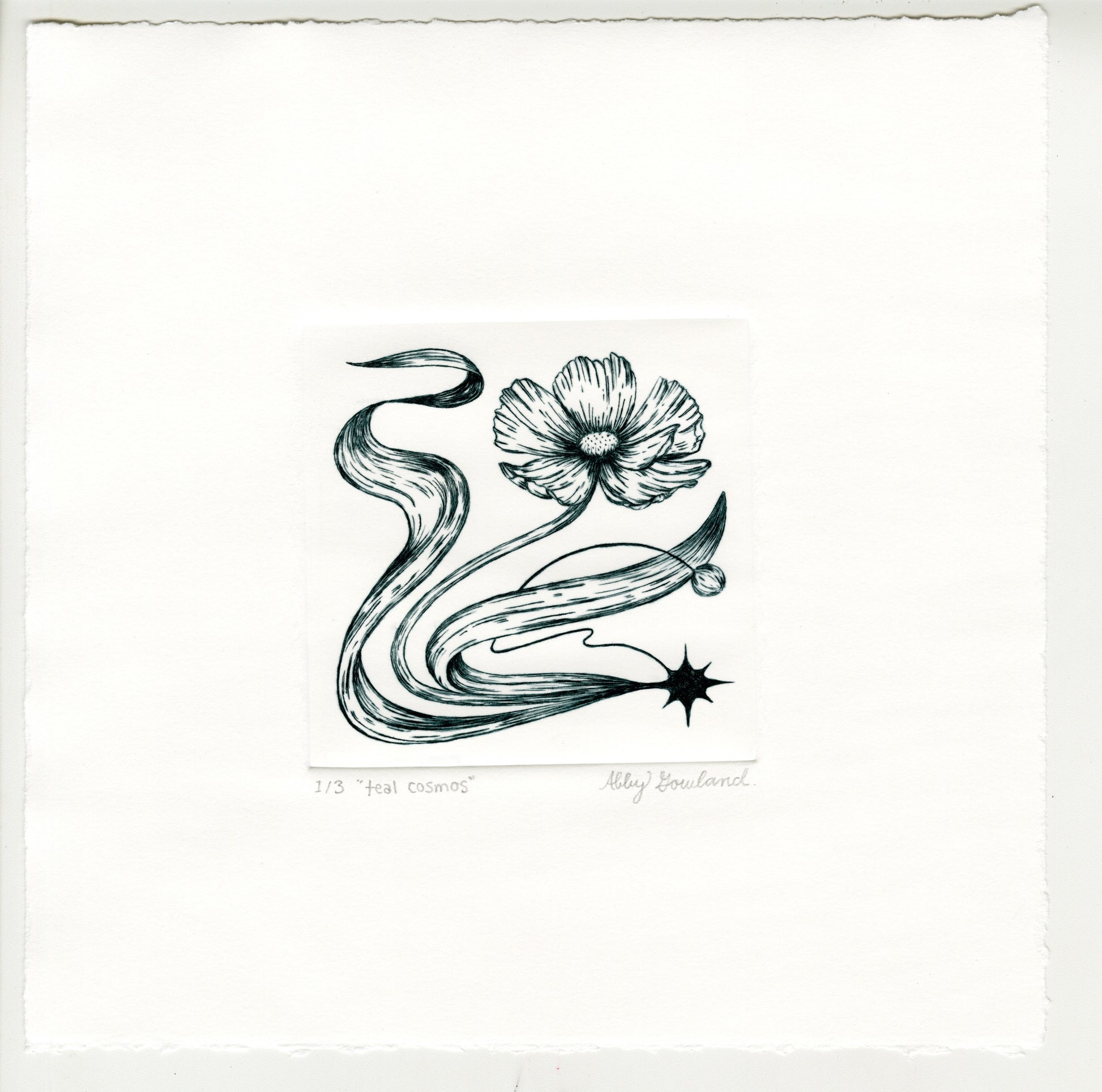 Abby Gowland, teal cosmos, 2025, drypoint, edition of 3/3, paper size: 8” x 8”