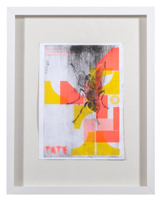 Sadko Hadzihasanovic, Fly, 2025, drypoint with chine collé, edition: 2/2, paper size: 13" x 9.5"