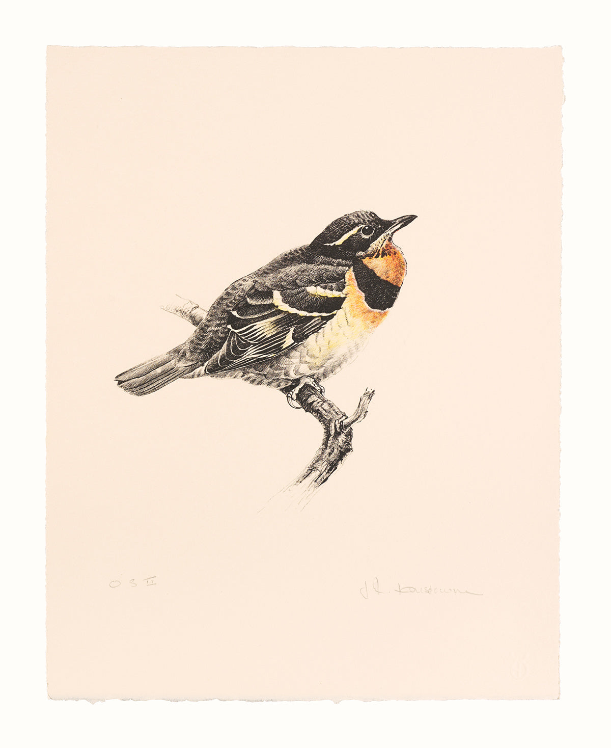 James Fenwick Lansdowne, Varied Thrush, 1976, lithograph, edition: OS I, paper size: 14” x 11”