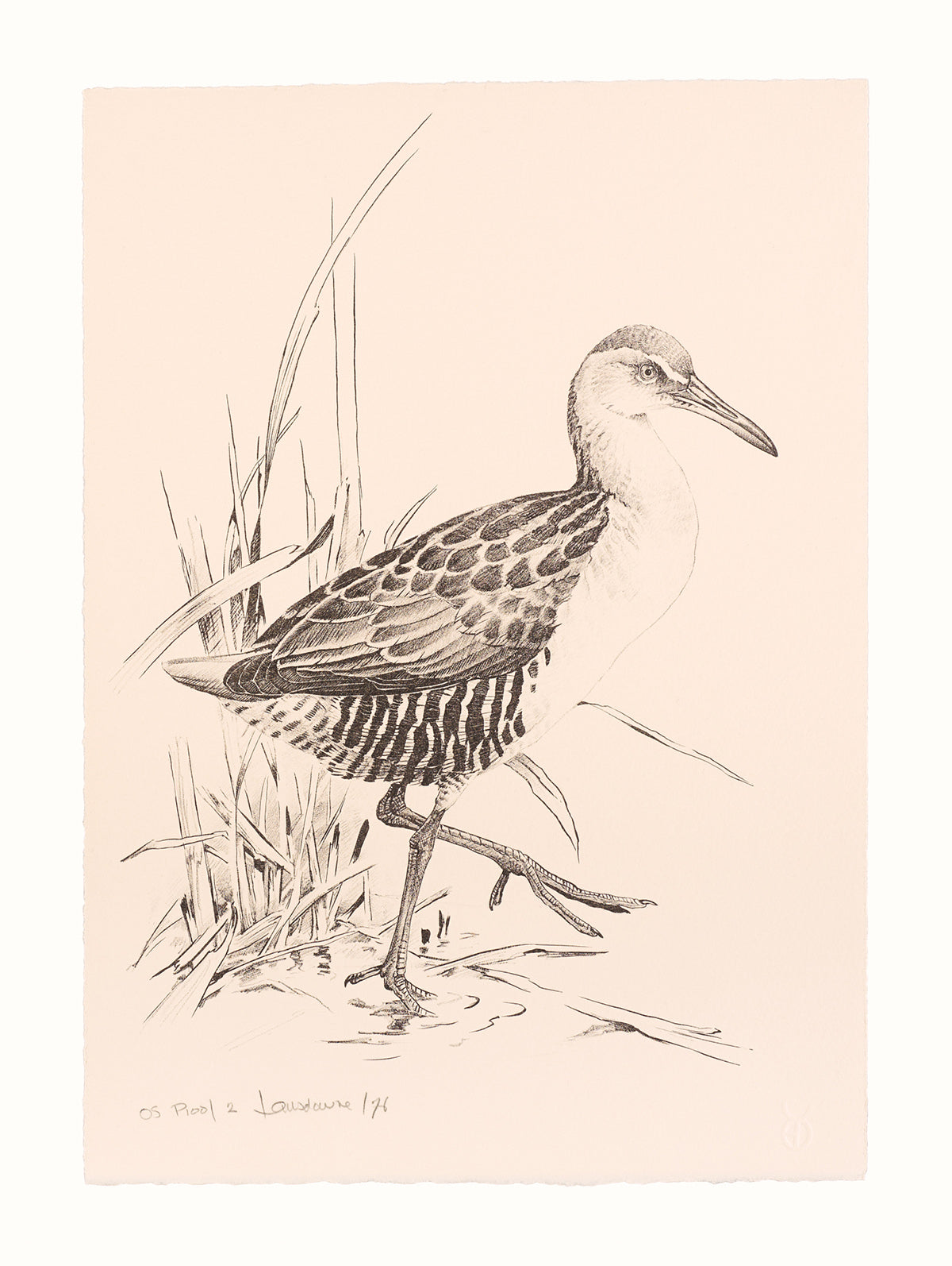 James Fenwick Lansdowne, *Eastern Rail*, 1976, lithograph, edition: OS Proof 1, paper size: 14” x 10”