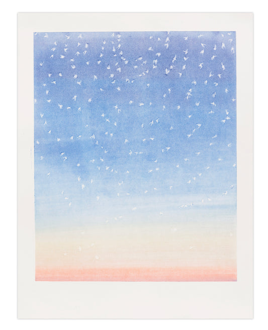 Laura Findlay, Strand (Ghost), 2022, monotype, edition 1/1 (Fundraising Proof), paper size: 23" × 19"