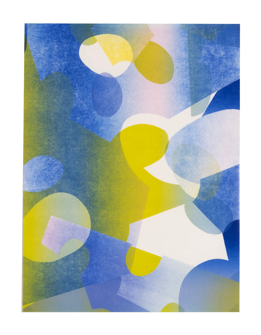‘Egg Type No.13’ by Karen Kar Yen Law, 2024. Monoprint, edition 1/1, on 12" x 9" paper.