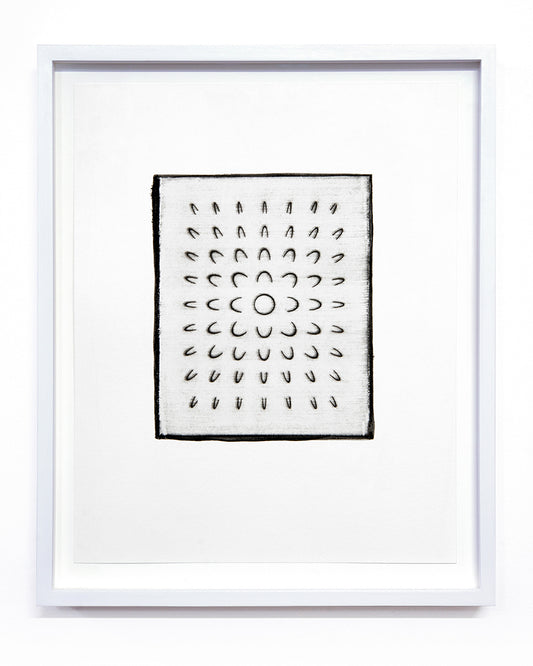 Isabel M. Martínez, Sun/Moon Drawing #26 (From Walking so Much in Circles, I Will End up Making a Sphere), 2023, sunlight/moonlight drawing with gum bichromate emulsion, edition: 1/1, paper size: 16 × 13 × 1.5 inches (framed)