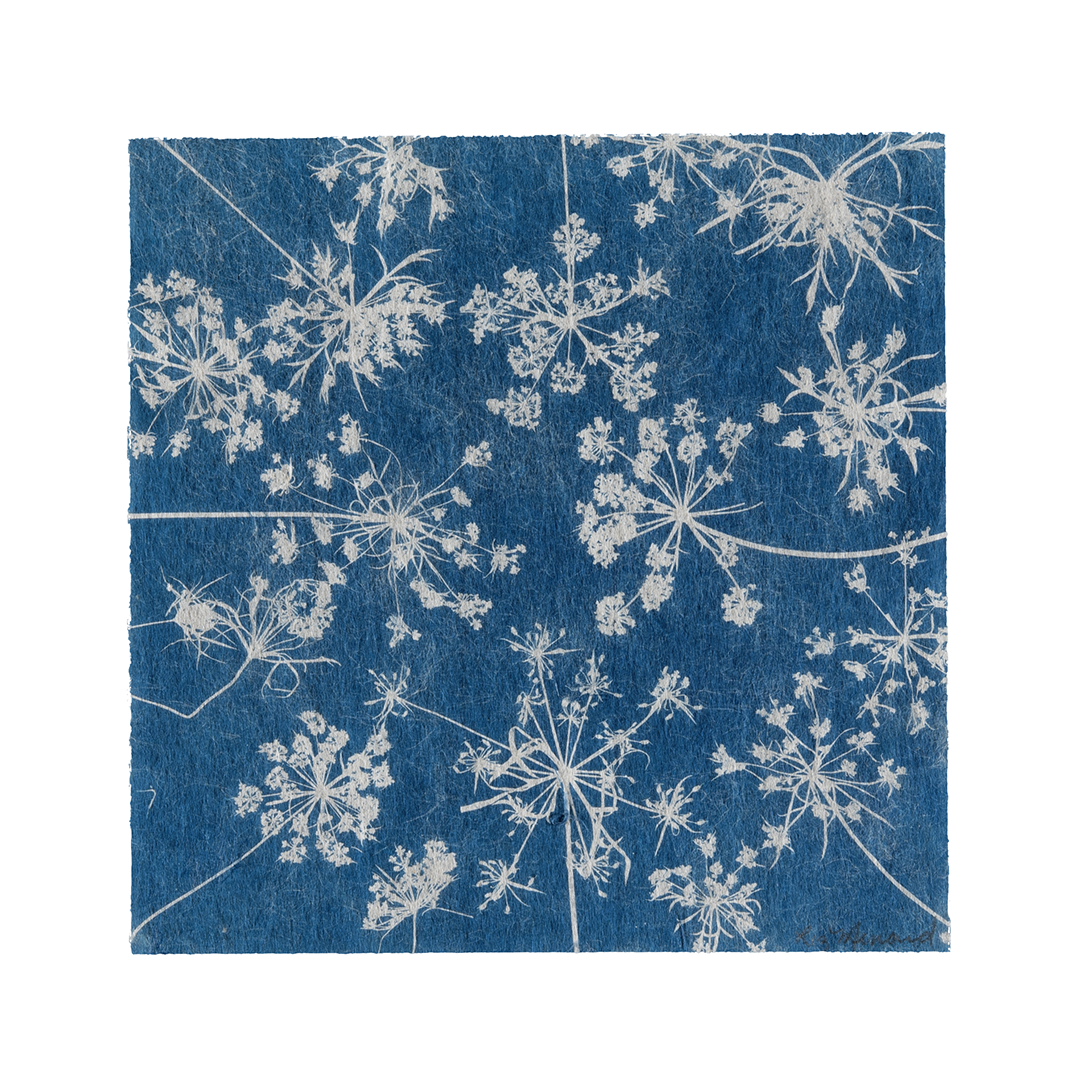 Liz Menard - Summer Snowflakes 1